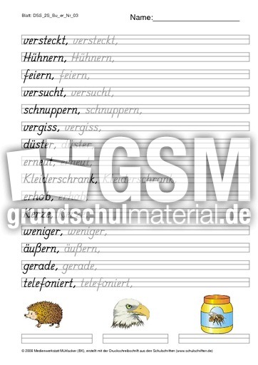 DSS_2S_Bu_er_Nr_03.pdf